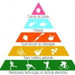 gnld-egeszseg-piramis gnld-egeszseg-piramis